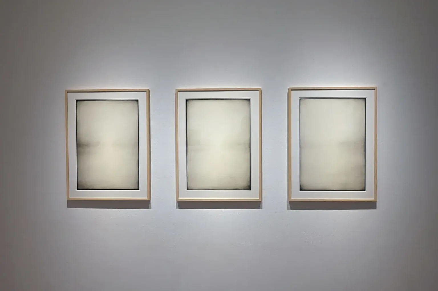 omnis 6th exhibition “EVOLVING”