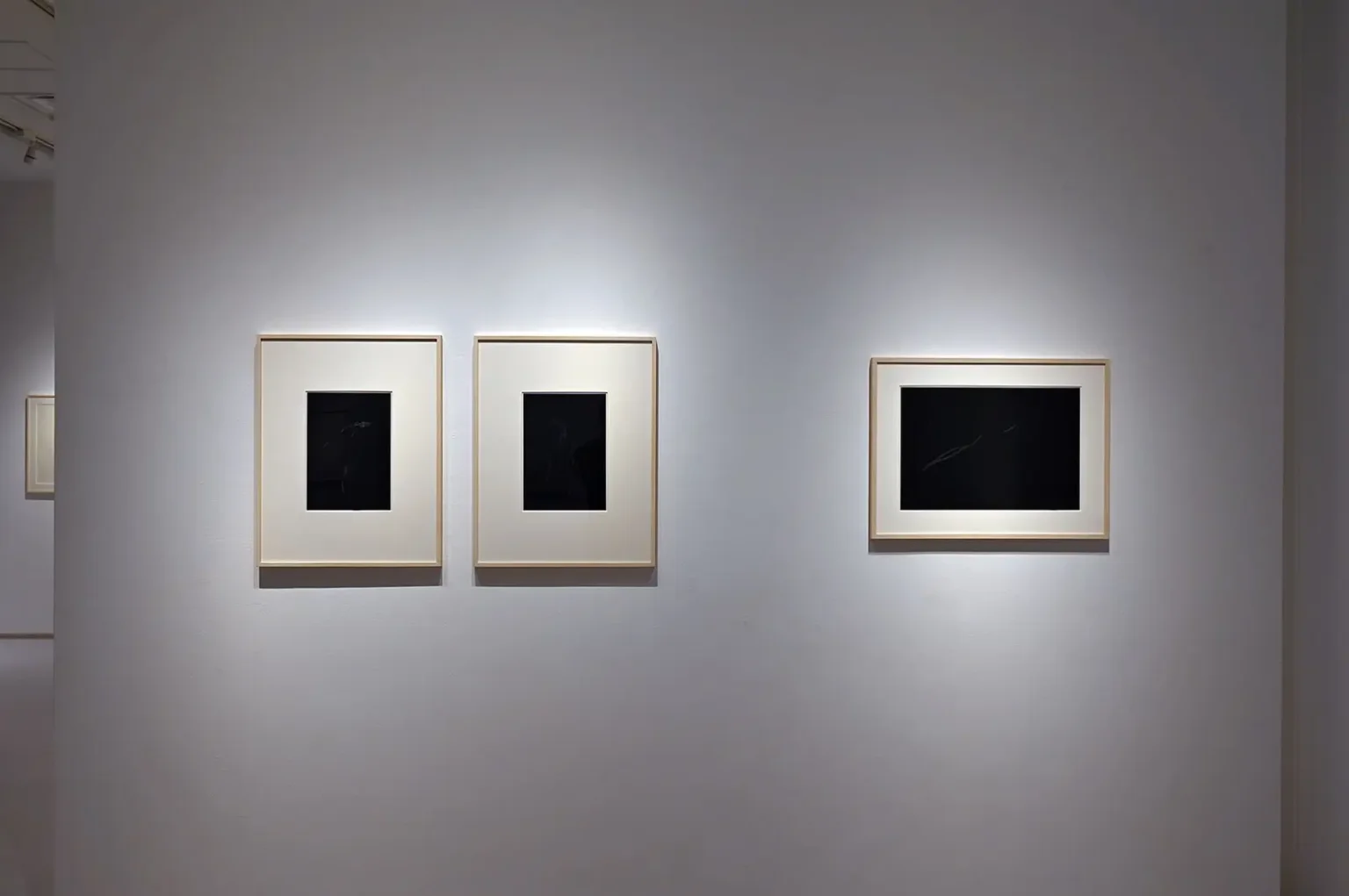 omnis 6th exhibition “EVOLVING”