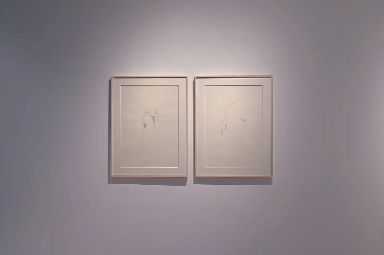 omnis 6th exhibition “EVOLVING”